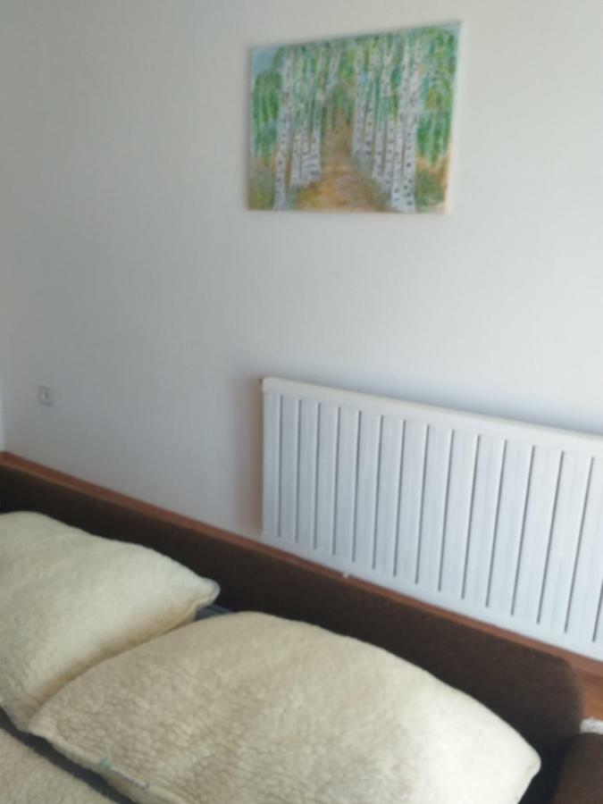 Apartment Primceva Maribor Dış mekan fotoğraf